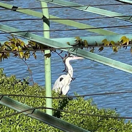 Refugium Am Engelbecken דירה ברלין