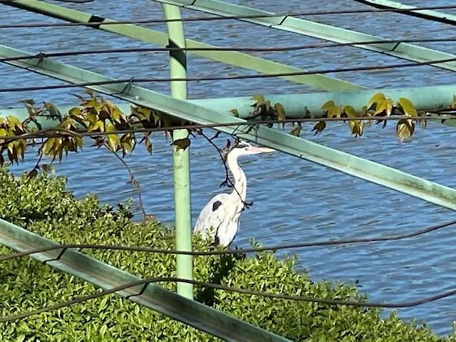 Refugium Am Engelbecken Apartamento Berlín